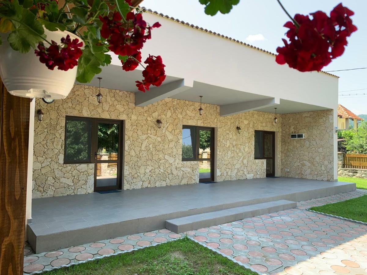 Casa Roka Apartman Ieşelniţa Kültér fotó