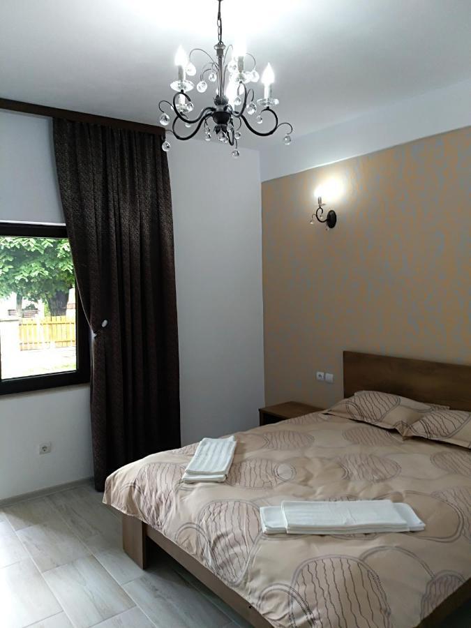 Casa Roka Apartman Ieşelniţa Kültér fotó